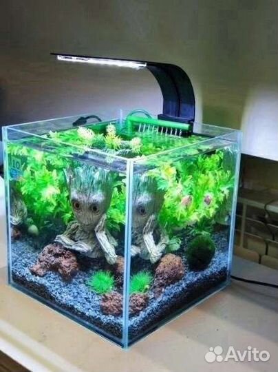 Аквариум под ключ с петушком
