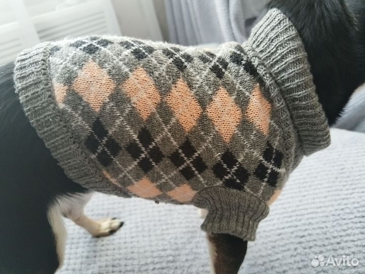 Свитер для собак мелких пород