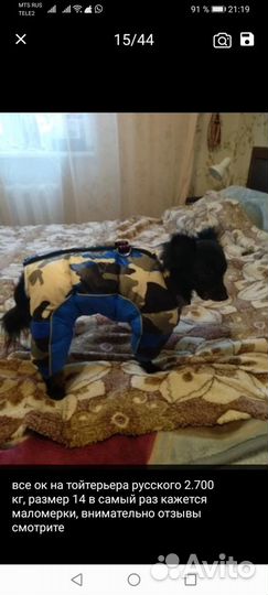 Одежда для маленьких собак