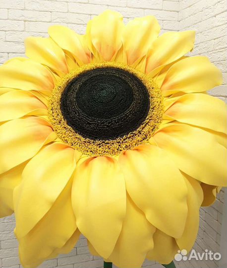 Интерьерные цветы