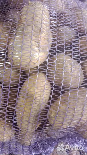 Овощи и фрукты оптом и в розницу