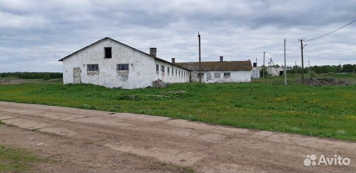 Продается животноводческая ферма