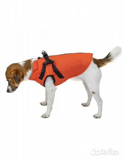 Новая жилетка для собаки средней породы