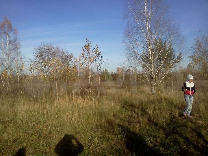 Участок 6 сот. (СНТ, ДНП)