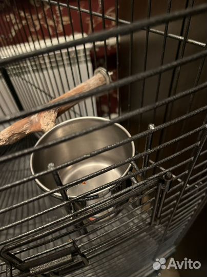 Клетка вольер для попугая