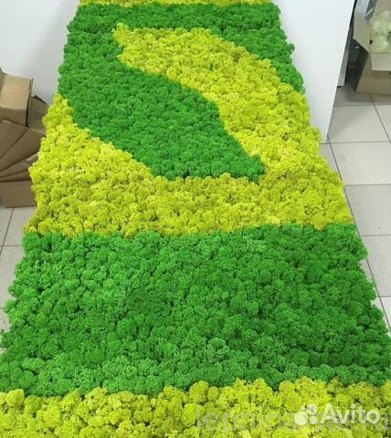 Панно мох ягель стабилизированный