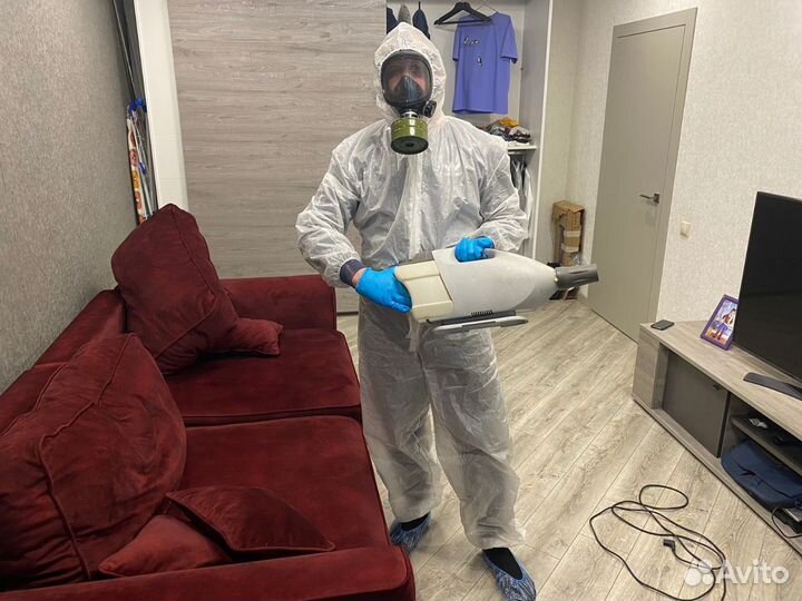 Уничтожение клопов и тараканов. Дезинфекция