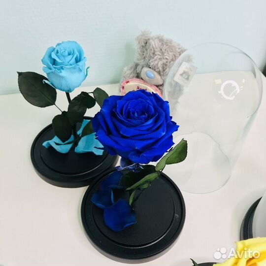 Роза в колбе синяя