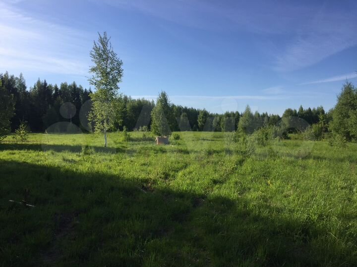 Участок 40 сот. (ИЖС)