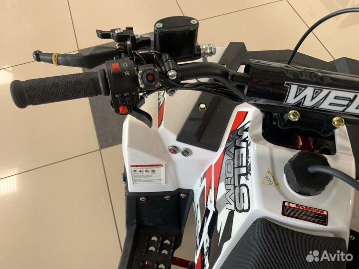 Детский квадроцикл Wels EVO.M