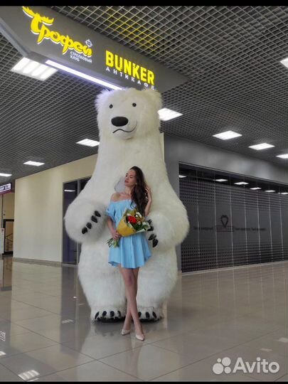 Аэромедведь, ростовые куклы, звезды