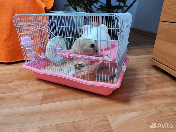 Клетка для грызунов