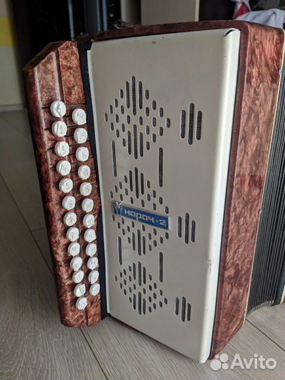 Гармонь Нарач 2