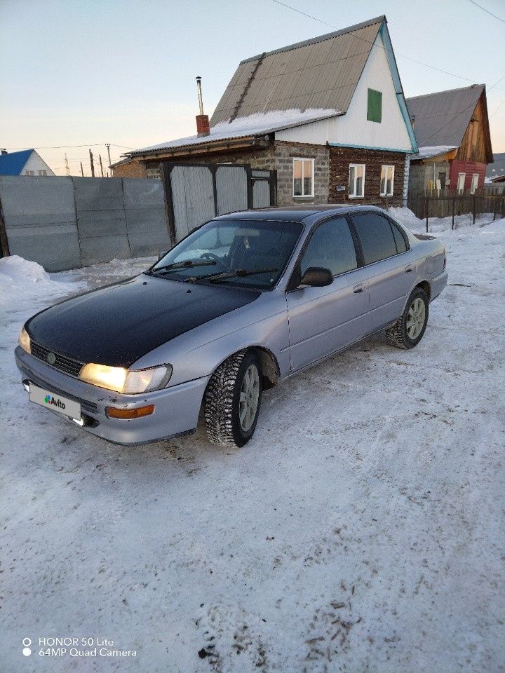 Toyota Corolla: фото владельца