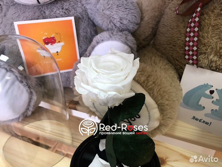 Роза в колбе 23 см