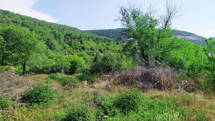 Участок 6 сот. (ИЖС)