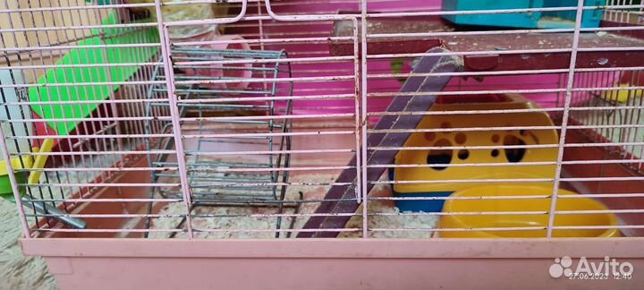 Клетки для грызунов