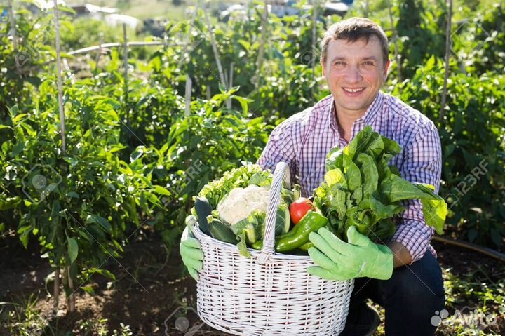 Вахта с проживанием и питанием