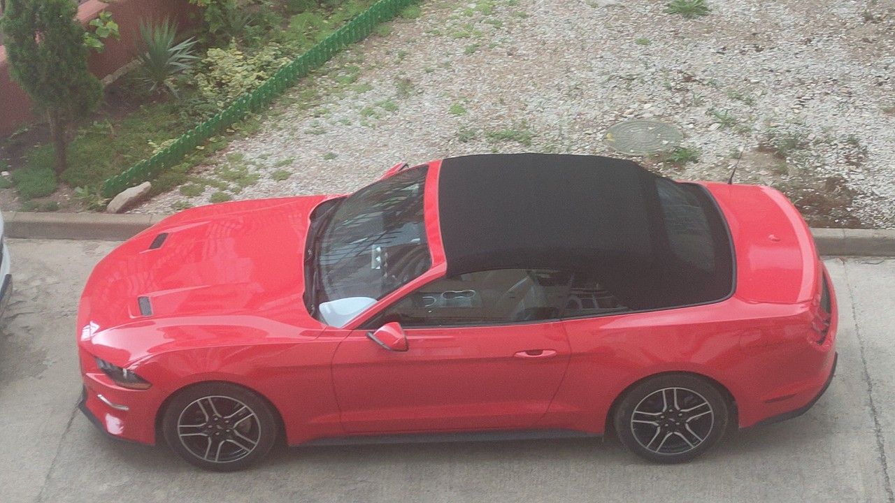 Ford Mustang: фото владельца