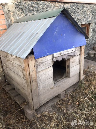 Собачья конура, будка