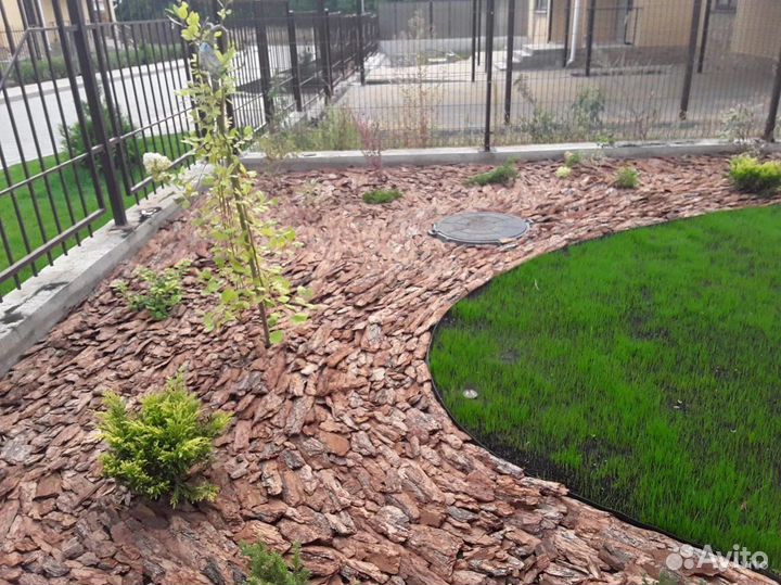 Кора сосны / сосновая кора / Мульча