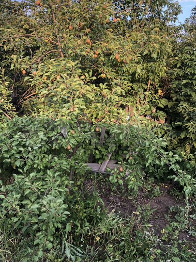 Дача 10 м² на участке 6,7 сот.