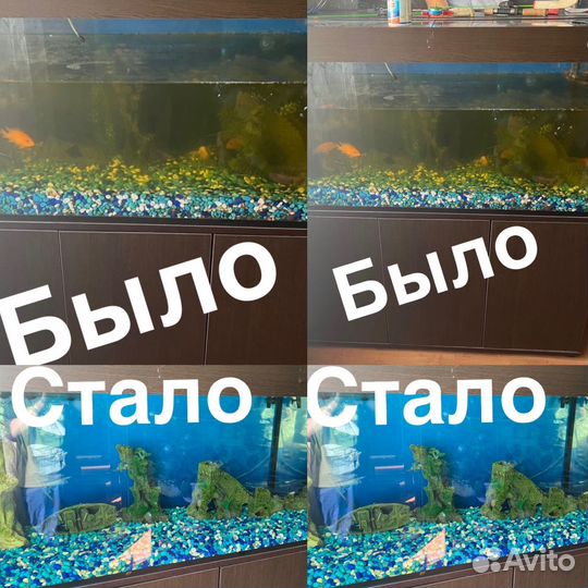 Обслуживание аквариума (чистка)