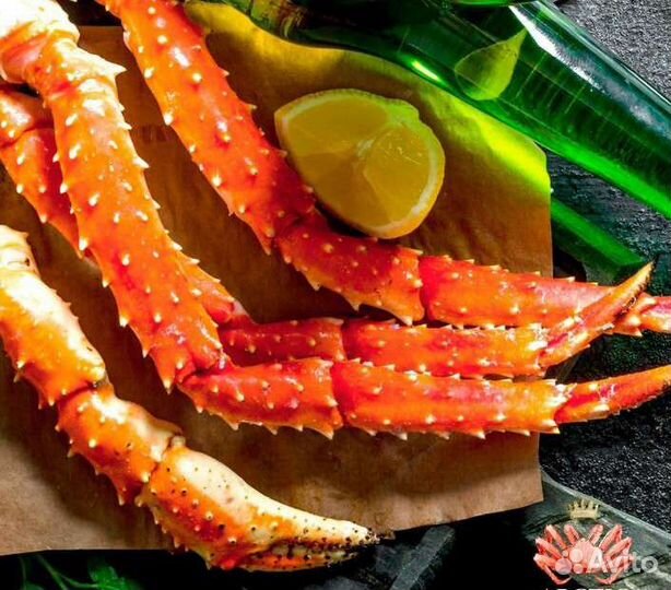 Краб волосатик