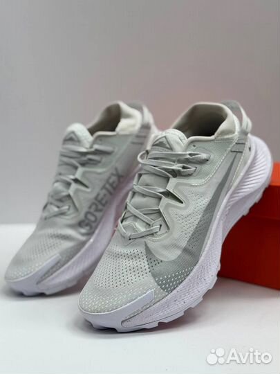 Кроссовки беговые Nike Pegasus Trail 2