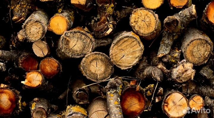 Крупнонаколотые дрова