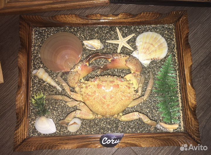 Картины из ракушек