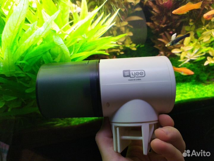 Автоматическая кормушка для рыб