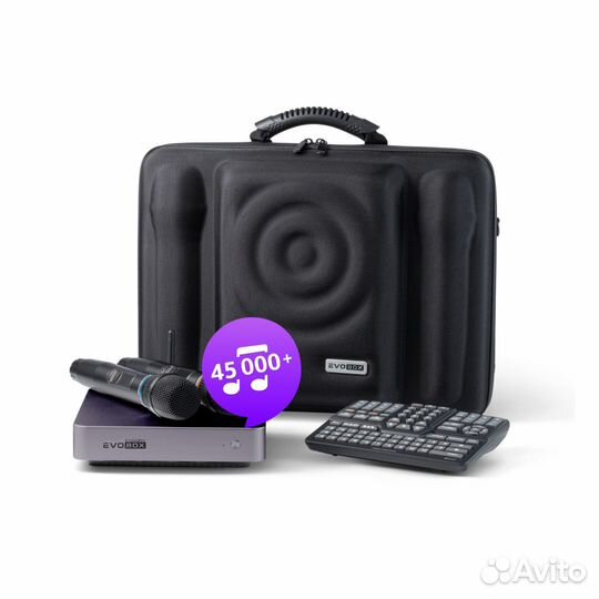 Караоке Evobox Plus Graphite