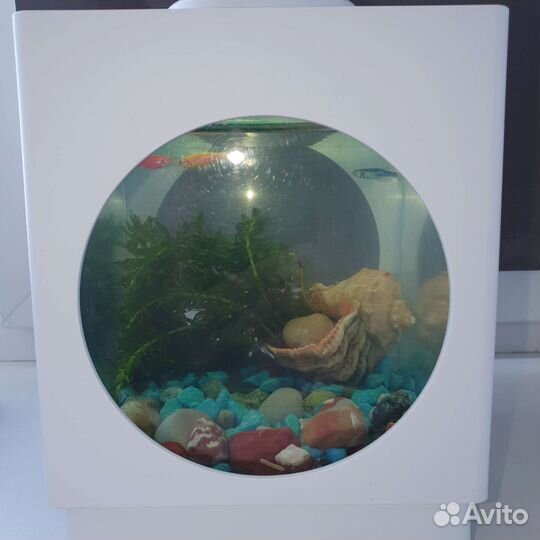 Аквариум