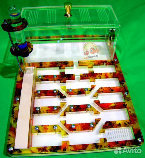 Муравьиная ферма осень полный комплект новая