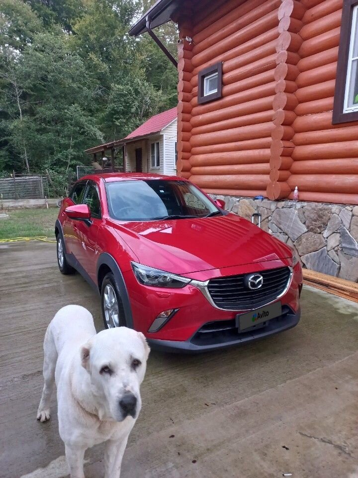 Mazda CX-3: фото владельца