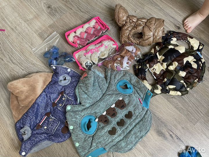 Вещи для маленьких собак