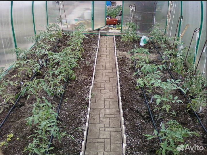 Капельный полив