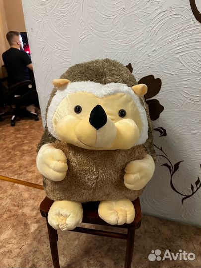 Огромный еж