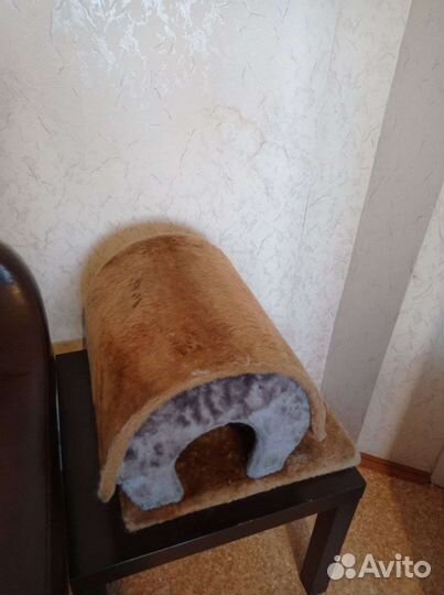 Домик для кошки