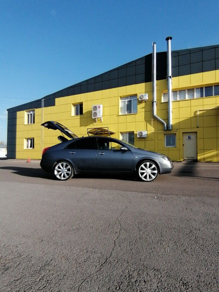 Nissan Primera: фото владельца