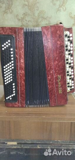 Баян Тула 202