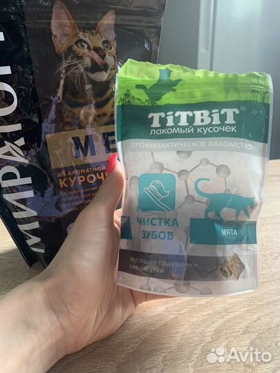 Корм и лакомство для кошек
