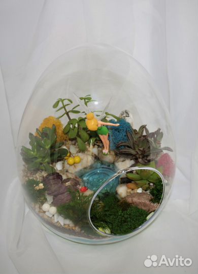 Флорариум/ цветы/ подарки