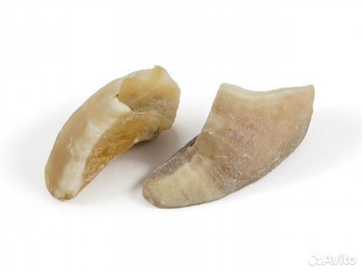 Titbit Копыто мясное говяжье 240912833 0,220 кг 40