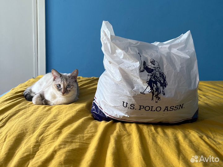 Женские вещи пакетом 42 44