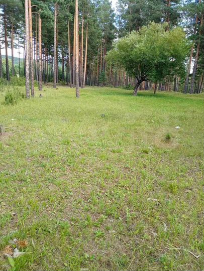 Участок 8,83 га (ИЖС)