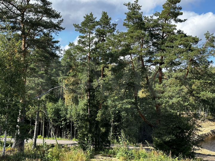 Участок 18,1 сот. (ИЖС)