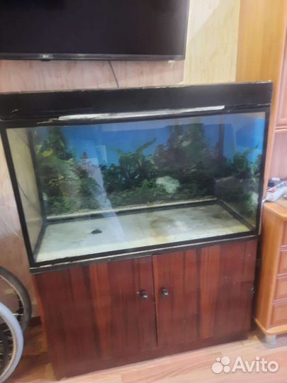 Аквариум