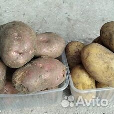 Продукты питания